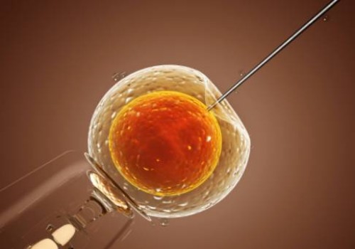 寧波試管助孕公司：靜脈曲張會不會遺傳，這些治療方式能有效幫助解決煩惱