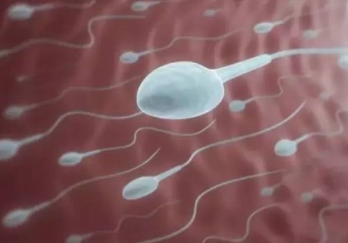 為什么懷孕吃螃蟹會流產(chǎn)，原因可能是這個(gè)