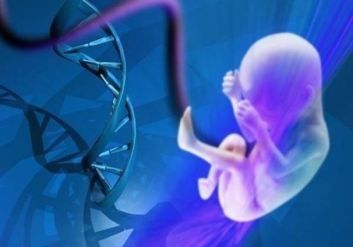 堵奶去醫(yī)院效果好還是找專(zhuān)業(yè)的催乳師好？盲目堵奶對(duì)身體并不好