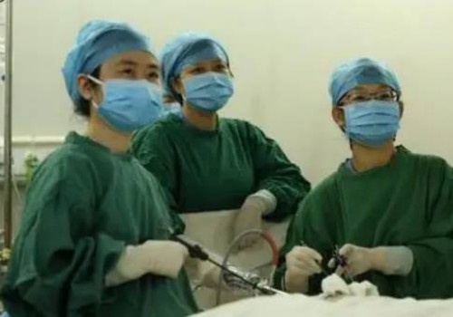 寧波三代試管助孕：孕囊大小與胎芽大小究竟有沒(méi)有關(guān)系？這份孕周對(duì)照表告訴你答案