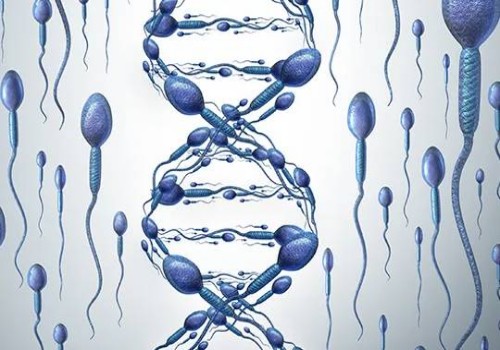 這四個(gè)原因就是不能自主排卵的元兇，內(nèi)分泌紊亂真得上點(diǎn)心