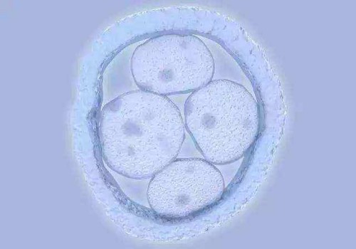 寧波正規(guī)助孕機構：做完造影當月可以懷孕嗎？了解造影后的備孕最佳時間