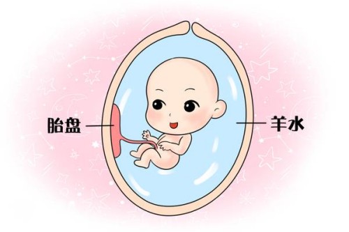 內(nèi)膜薄對女性的生育功能有影響，內(nèi)膜偏低可能會導致不孕