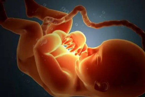 北京大學人民醫(yī)院供卵試管生男孩費用明細，附供卵試管條件