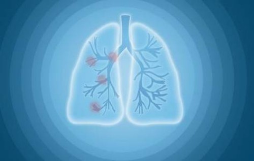 促排讓你避免出現(xiàn)空卵泡的妙招，日常吃什么很關(guān)鍵