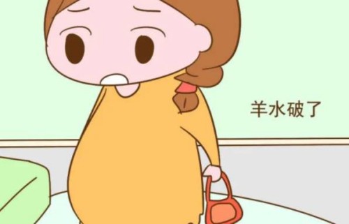 寧波供精試管：從內(nèi)褲的分泌物也能看出來懷的是男寶還是女寶？