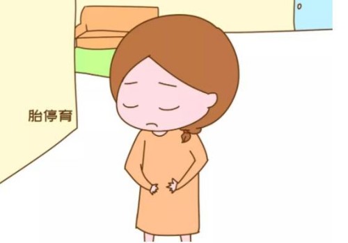 寧波供卵試管：高齡移植兩個(gè)成功率比一個(gè)高，還要考慮這些因素