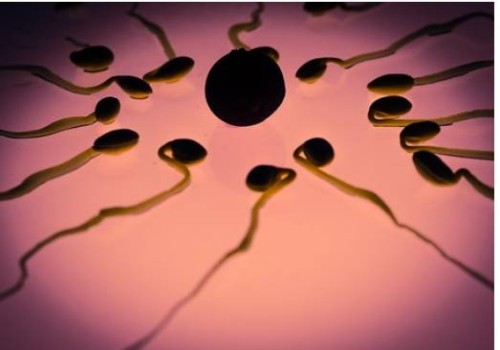 取卵后出現(xiàn)腹水用白蛋白消除效果好，具體需要使用幾天因人而異