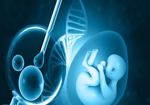 做試管嬰兒生孩子，到底要花多少錢？