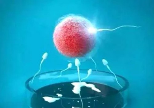 孕囊偏小吃紅薯真有效嗎，醫(yī)生：并無(wú)科學(xué)依據(jù)