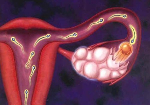 備孕調(diào)理子宮的方法一覽，喝中藥只是其中之一