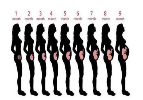 孕婦順產(chǎn)之前需要多少次的內(nèi)檢檢查？