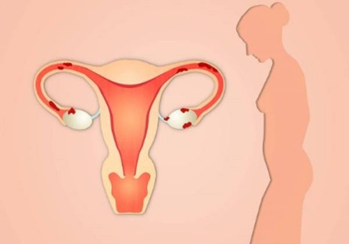 科學備孕生男生女的方法一覽，附備孕期間的注意事項_1