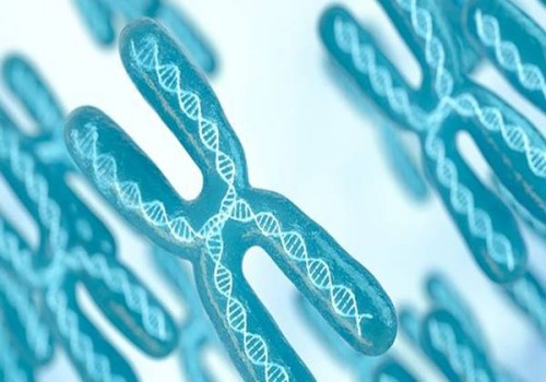 助力卵泡發(fā)育的食物清單，讓你的卵泡更好地發(fā)育。