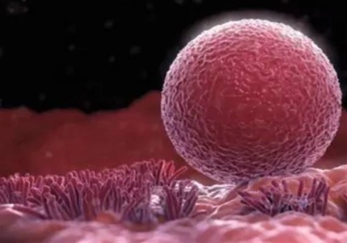 寧波助孕生子：盤點弱精癥的具體表現(xiàn)，附引發(fā)弱精癥的原因及治療措施