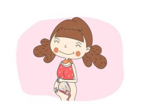 寧波正規(guī)助孕機構：想知道寶寶性別？NT0.07胎心160輕松辨別男女